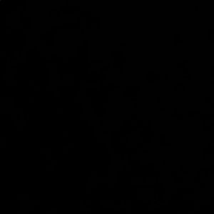 Meet your Posher, Jake